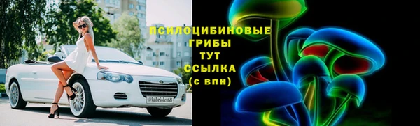 метадон Алексин