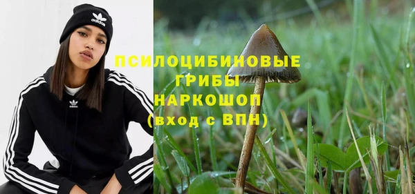 2c-b Алзамай