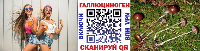 Псилоцибиновые грибы прущие грибы Дыгулыбгей