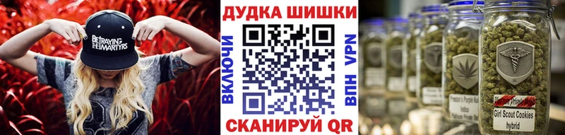 Шишки марихуана планчик  Дыгулыбгей 